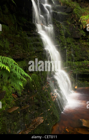 Schwarzen Clough verliebt sich in Derbyshire Peak District. Stockfoto