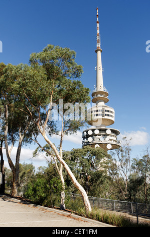 Black Mountain Tower (aka Telstra Tower) in Canberra, Australien Stockfoto