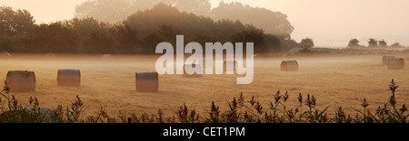 Misty Dawn Blick auf Heuballen in der Norfolk-Landschaft. Stockfoto