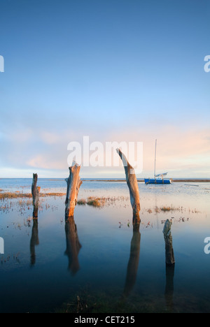 Dornweiler Hafen und die Überreste einer alten hölzernen Pier an den hohen Gezeiten an der Nordküste Norfolk. Stockfoto