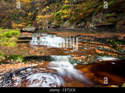 Schwarz-Clough verliebt sich in in der Peak District National Park. Stockfoto