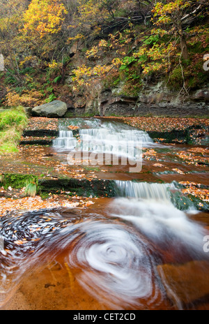 Schwarz-Clough verliebt sich in in der Peak District National Park. Stockfoto