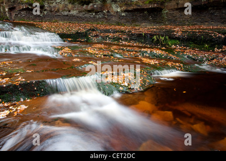 Schwarz-Clough verliebt sich in in der Peak District National Park. Stockfoto