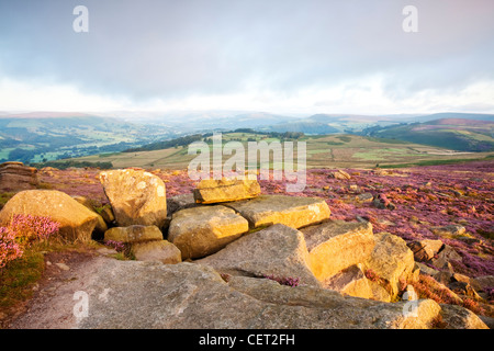 Eine Landschaftsansicht über Heather der Peak District National Park von Owler Tor. Stockfoto