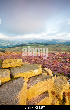 Ein Blick über Heather der Peak District National Park von Owler Tor. Stockfoto