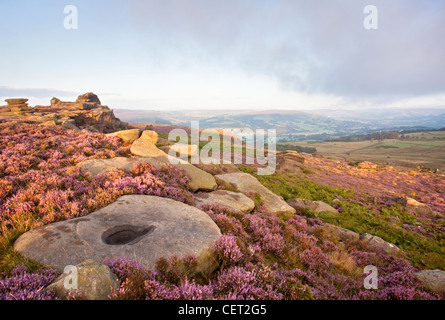 Eine Landschaftsansicht über Heather der Peak District National Park von Owler Tor. Stockfoto