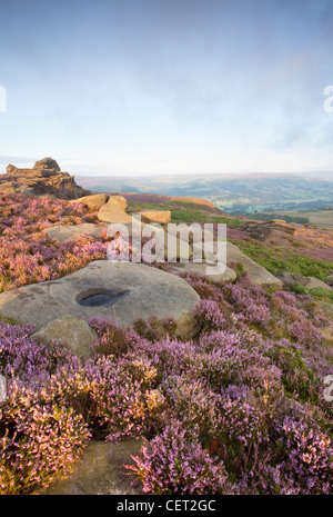 Ein Blick über Heather der Peak District National Park von Owler Tor. Stockfoto