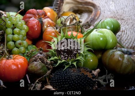 Ein Teller mit faulen Obst und Gemüse Stockfoto