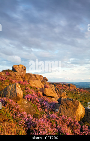 Der Knuckle Stein auf Carhead Felsen in der Peak District National Park. Stockfoto