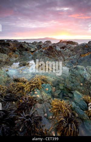 Sonnenuntergang mit Blick auf Holyhead Mountain angesehen von Porth Penrhyn-Mawr auf die Isle of Anglesey. Stockfoto