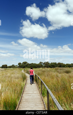 Eine junge Frau beim Überqueren einer Wiese auf einem Holzsteg Stockfoto
