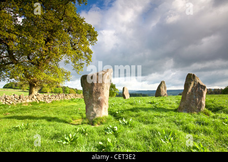 Neun Steinen zu schließen, einen Steinkreis der Bronzezeit auf Harthill Moor. Es gibt nur 4 verbleibenden Steinen von, was einmal ein 45-Fuß-Ci war Stockfoto