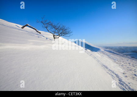 Eine schiefe Hawthorne Baum am Rushup Rand nach einem Schneefall in der Peak District National Park. Stockfoto