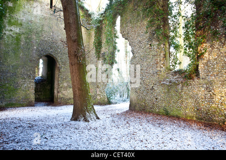 Schnee bedeckt den Boden einer großen Eiche wächst im Kirchenschiff die Ruine der St. Marys Kirche auf dem Gelände des Burnley H Stockfoto