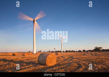 Heuballen und Windturbinen auf Blut Hügel Winterton Windfarm. Stockfoto