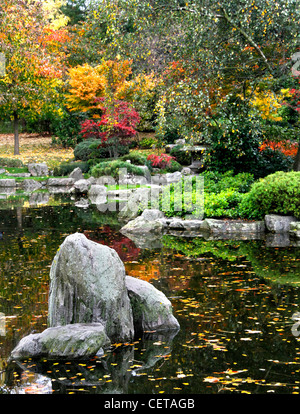 Herbstliche Farben auf dem Display in der Kyoto-Garten in Holland Park. Stockfoto