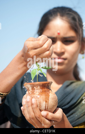 Indischen Mädchens Beregnung Wasser über eine Pflanze Setzling in einem Tontopf. Indien Stockfoto
