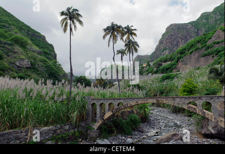 Landwirtschaft im Tal Ribeira Paul, Santo Antao, Kapverdische Inseln, Afrika Stockfoto