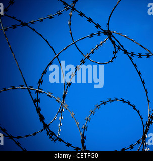 Eine Nahaufnahme von Ringen aus Stacheldraht vor blauem Himmel in York. Stockfoto