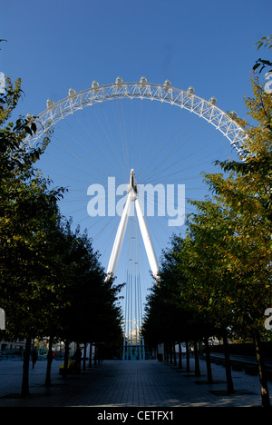 Nach oben auf das London Eye. Offiziell ist es der weltweit beliebteste Touristenattraktion, beliebter als die Statue Libe Stockfoto