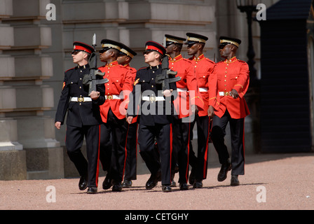 Wechsel der Wachablösung am Buckingham Palace. Stockfoto