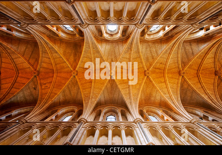 Die Decke der Southwark Cathedral. William Shakespeare wird geglaubt, um wann gewesen John Harvard, Gründer der Ameri Stockfoto