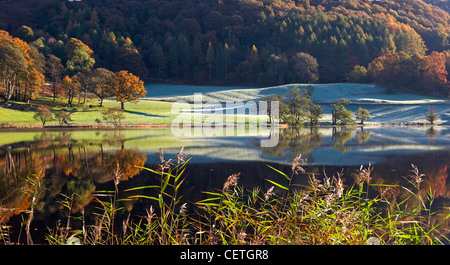 Loughrigg Tarn im Herbst. Der Tarn ist fast kreisrund in Form, mit markanten Blick auf Nord-West-Richtung Langdale Pikes und de Stockfoto