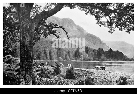 Kalb schließen Bucht und Falcon Crag Derwentwater Stockfoto