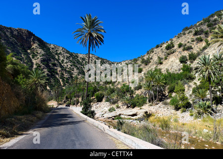 Die 7002 Straße durch Paradise Valley, nördlich von Agadir, Marokko, Nordafrika Stockfoto