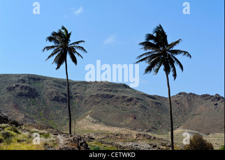 Tal des Rio Norte, Cape Verde Inseln Tal des Rio Norte, Boa Vista, Kapverden, Afrika Stockfoto