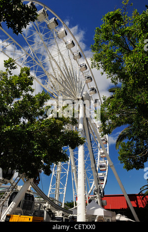 Wheel of Excellence on Victoria & Alfred Waterfront Komplex, Cape Town, Western Cape, Südafrika Stockfoto