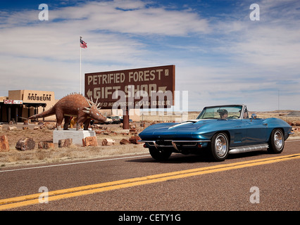 1967 Chevrolet Corvette 2011 Copperstate 1000 Rallye Petrified forest AZ USA Stockfoto