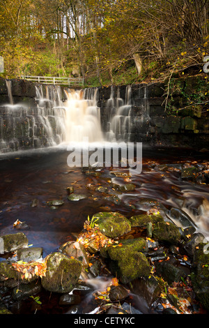 Die stürzenden Wasser Mühle Gill Force in der Nähe von Askrigg, North Yorkshire Stockfoto