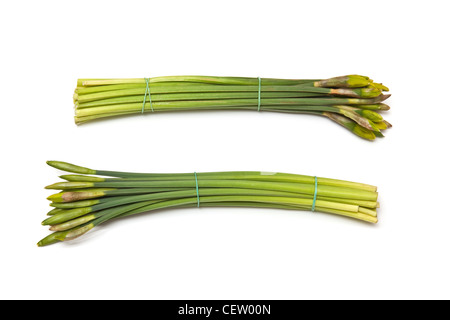 Blumenstrauß oder Bündel von Narzissen isoliert auf einem weißen Studio-Hintergrund. Stockfoto