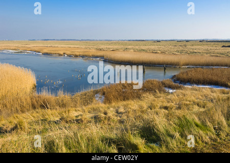 Blick auf farlington Sümpfe im Winter, Hampshire, Großbritannien Stockfoto