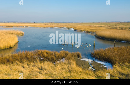 Blick auf farlington Sümpfe im Winter, Hampshire, Großbritannien Stockfoto