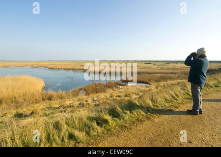 Vogelbeobachter am Farlington Sümpfe Hampshire UK Stockfoto