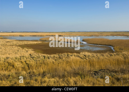 Blick auf farlington Sümpfe im Winter, Hampshire, Großbritannien Stockfoto