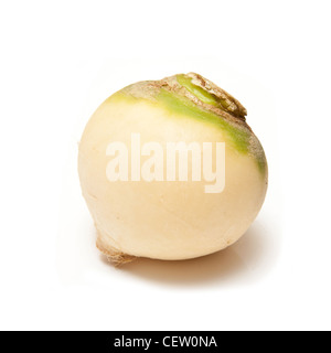 Rübe isoliert auf einem weißen Studio-Hintergrund. Stockfoto