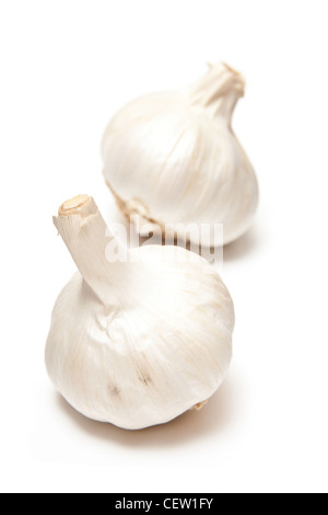 Knoblauch Zwiebeln isoliert auf einem weißen Studio-Hintergrund. Stockfoto