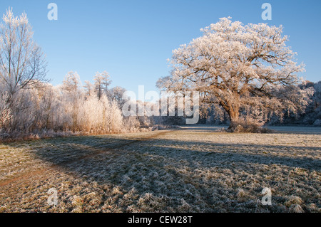 Winterwunderland, Warwickshire, England Stockfoto