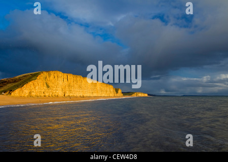 Klippen, Strand und Küste von West Bay auf der Jurassic coast Dorset genommen nach einem Sturm im Winter und Klippen von Sonnenlicht beleuchtet Stockfoto