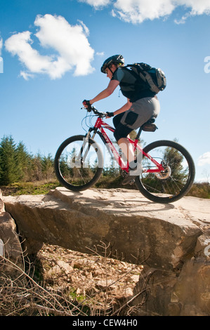 Weibliche Mountainbiker Rock Brücke auf einem speziell gebauten Radweg im Gisburnund Wald in den Wald von Bowland, Lancashire Stockfoto