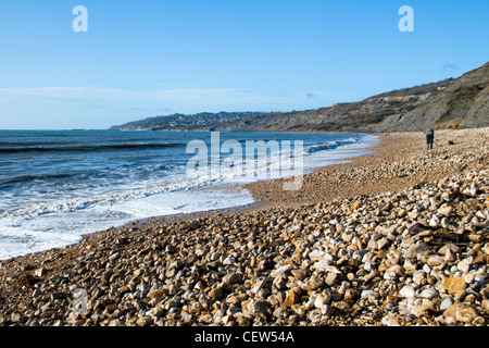 Charmouth Strand an der jurassic Küste Charmouth, Dorset, UK am sonnigen Tag im Winter mit Lyme Regis in der Ferne genommen Stockfoto