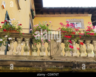 Balkon mit Topfpflanzen Geranien in Lucca, Toskana, Italien. Stockfoto