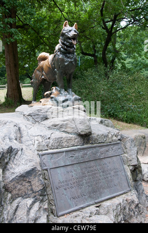 Statue von Balto der Husky Hund im Central Park in New York City, USA Stockfoto