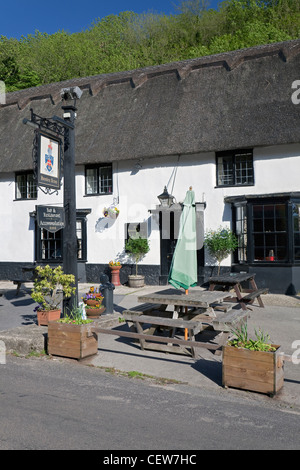 "Hambro Waffen" Public House, Milton Abbas, Dorset, England Stockfoto