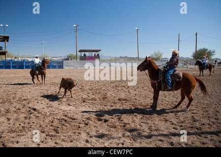 Verkauft, Arizona - das Team roping Wettbewerb in der Master-Klasse (ab 40 Jahren) der Tohono O' odham Nation alle indischen Rodeo. Stockfoto