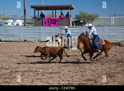 Verkauft, Arizona - das Team roping Wettbewerb in der Master-Klasse (ab 40 Jahren) der Tohono O' odham Nation alle indischen Rodeo. Stockfoto