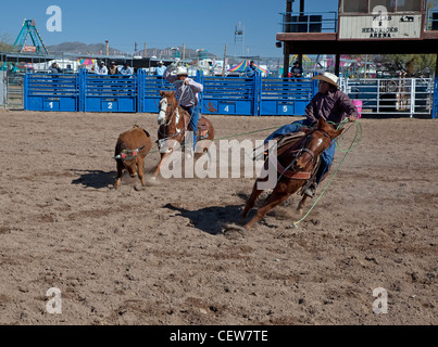 Verkauft, Arizona - das Team roping Wettbewerb in der Master-Klasse (ab 40 Jahren) der Tohono O' odham Nation alle indischen Rodeo. Stockfoto